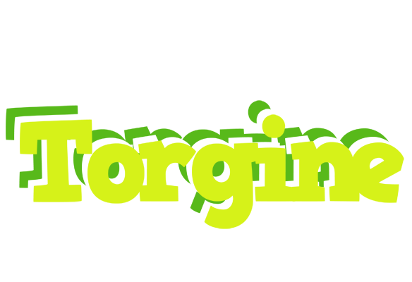 Torgine citrus logo