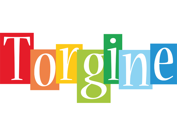 Torgine colors logo