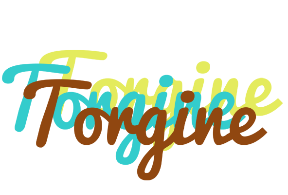 Torgine cupcake logo