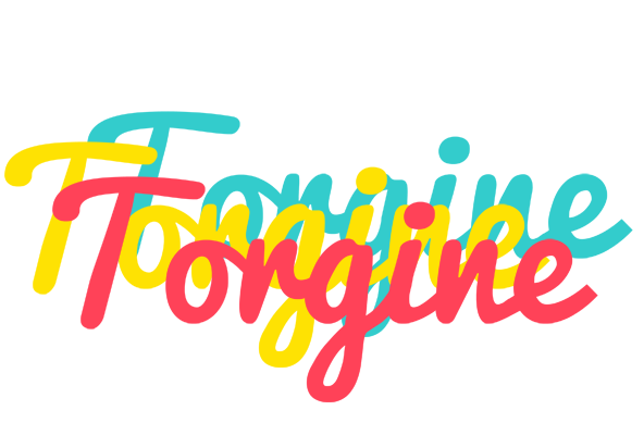 Torgine disco logo