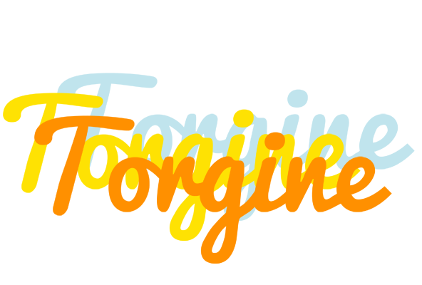 Torgine energy logo