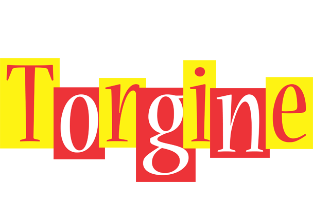 Torgine errors logo