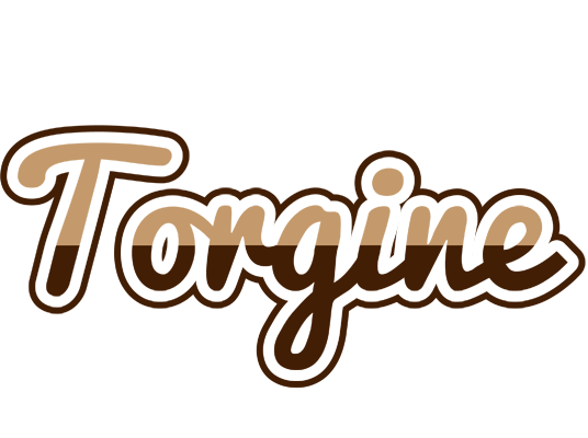 Torgine exclusive logo