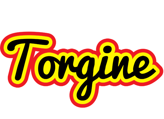 Torgine flaming logo
