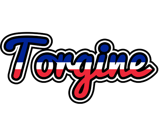 Torgine france logo