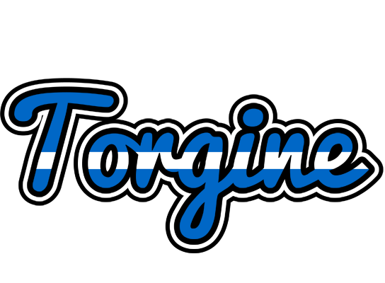Torgine greece logo