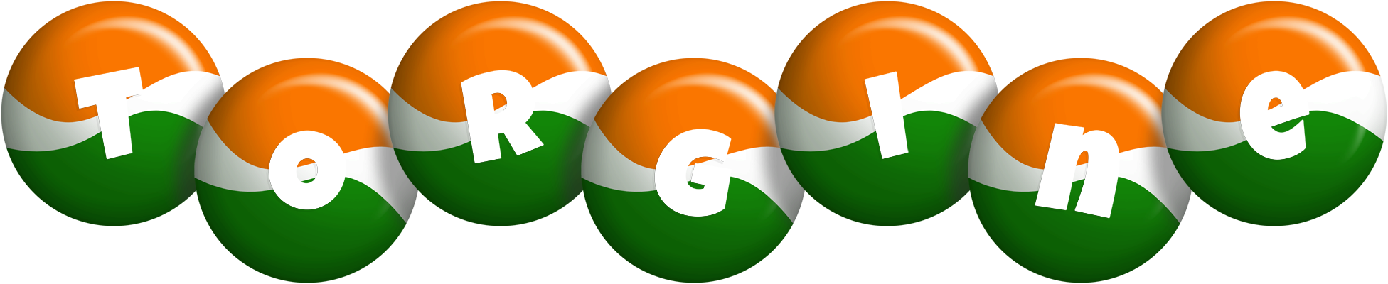 Torgine india logo
