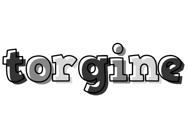 Torgine night logo