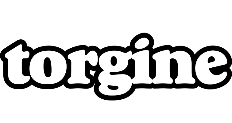 Torgine panda logo