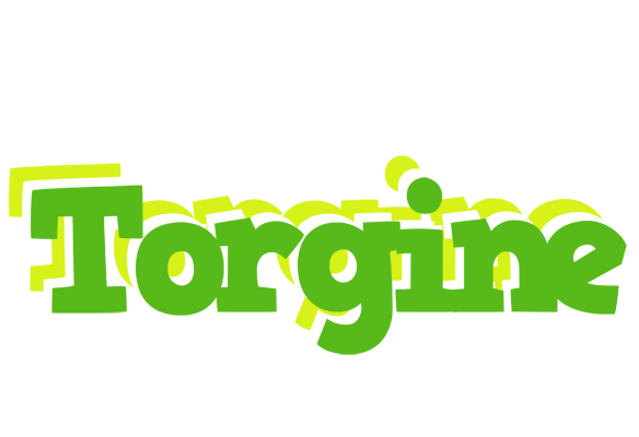 Torgine picnic logo