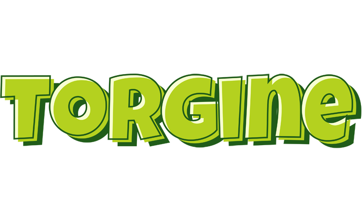 Torgine summer logo