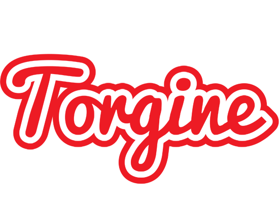 Torgine sunshine logo