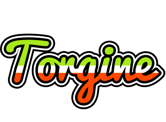 Torgine superfun logo