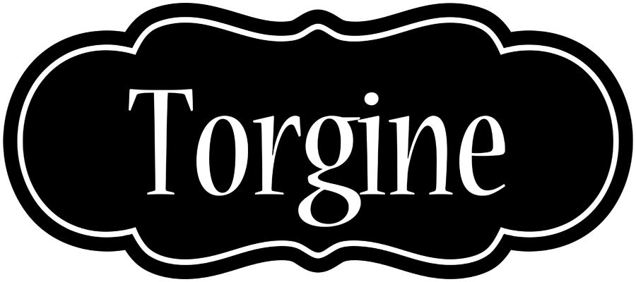 Torgine welcome logo