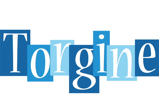 Torgine winter logo