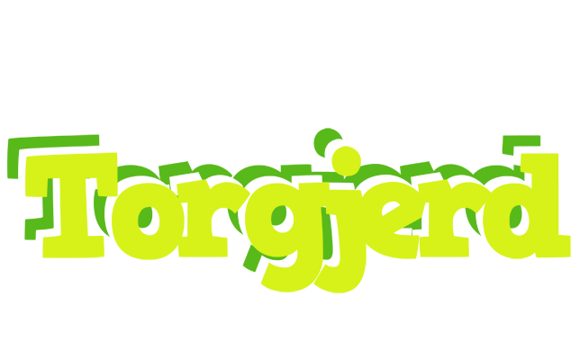 Torgjerd citrus logo