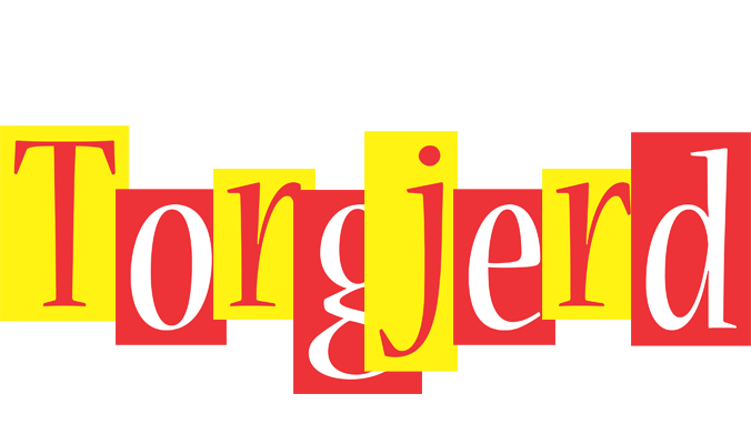 Torgjerd errors logo