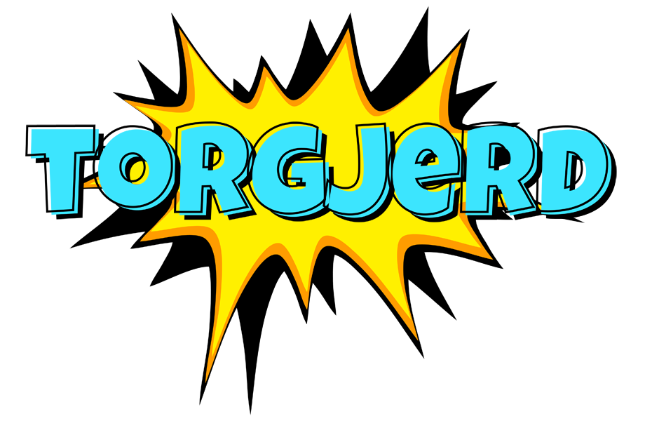 Torgjerd indycar logo