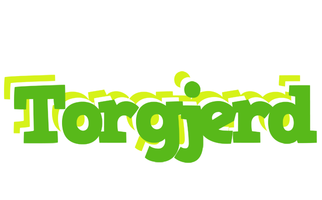 Torgjerd picnic logo