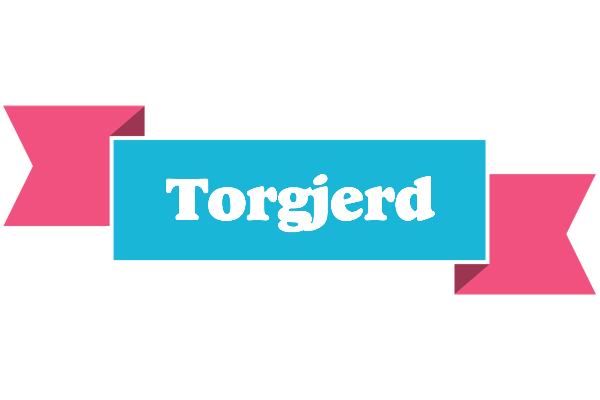 Torgjerd today logo