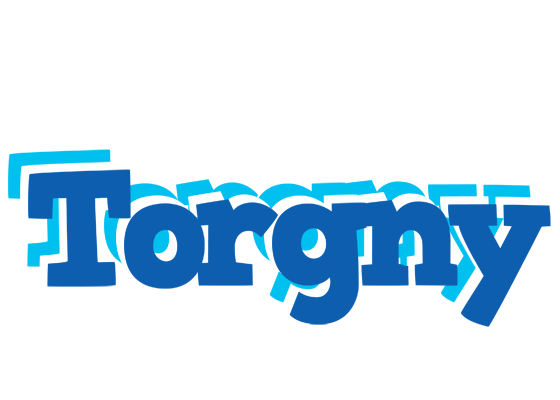 Torgny business logo