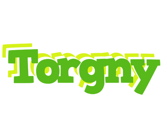 Torgny picnic logo