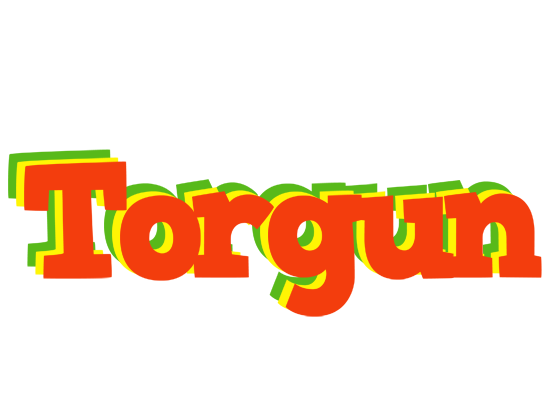 Torgun bbq logo