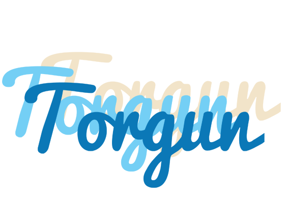 Torgun breeze logo