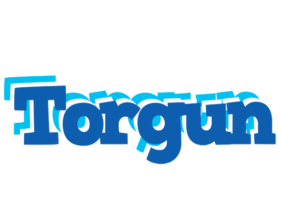 Torgun business logo
