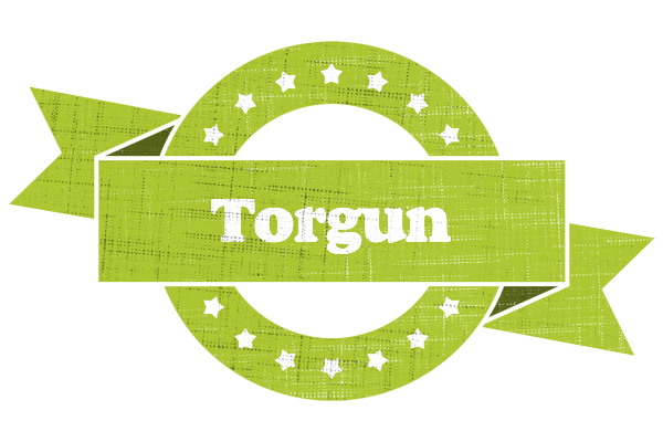 Torgun change logo
