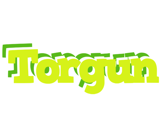 Torgun citrus logo