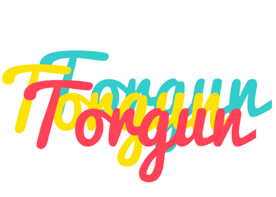 Torgun disco logo