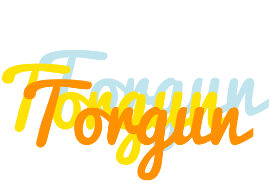 Torgun energy logo