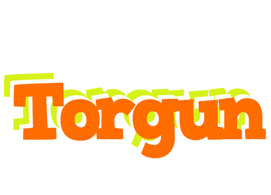 Torgun healthy logo