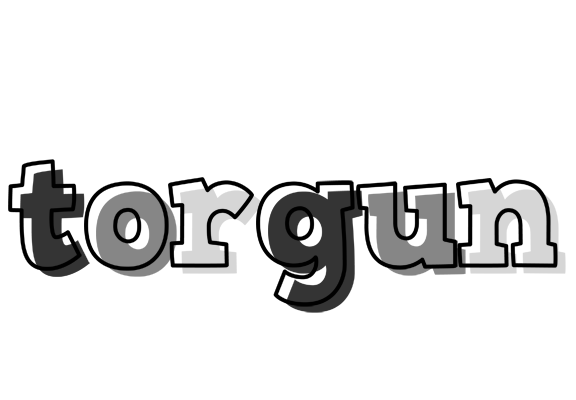 Torgun night logo