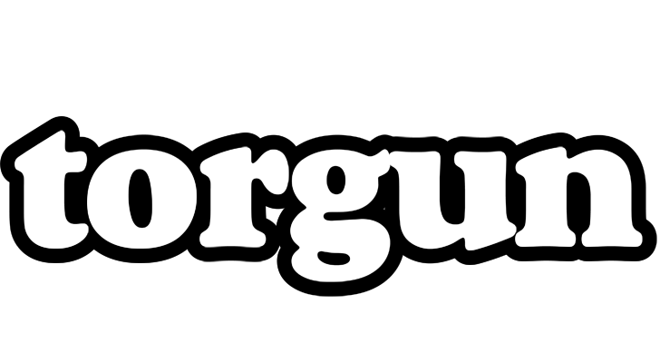 Torgun panda logo