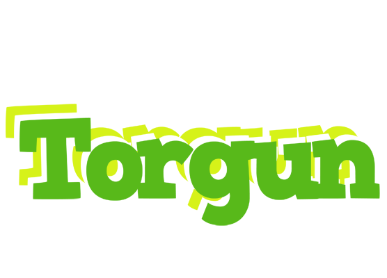 Torgun picnic logo