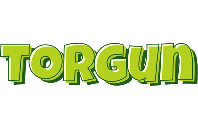 Torgun summer logo