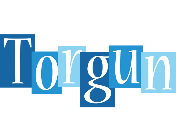 Torgun winter logo