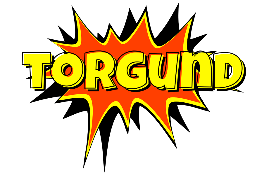 Torgund bazinga logo