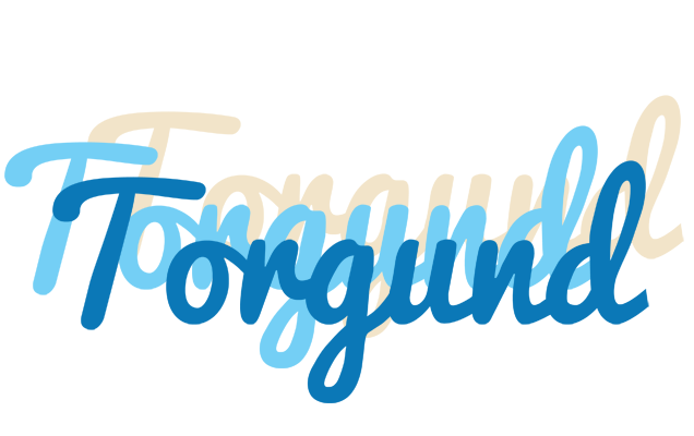 Torgund breeze logo