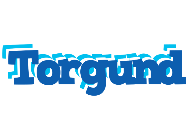 Torgund business logo