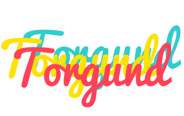 Torgund disco logo