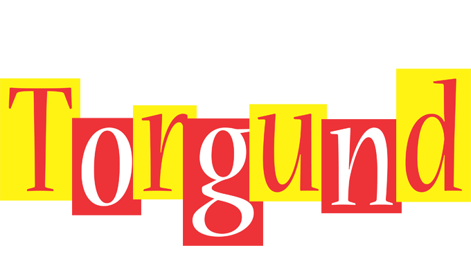 Torgund errors logo