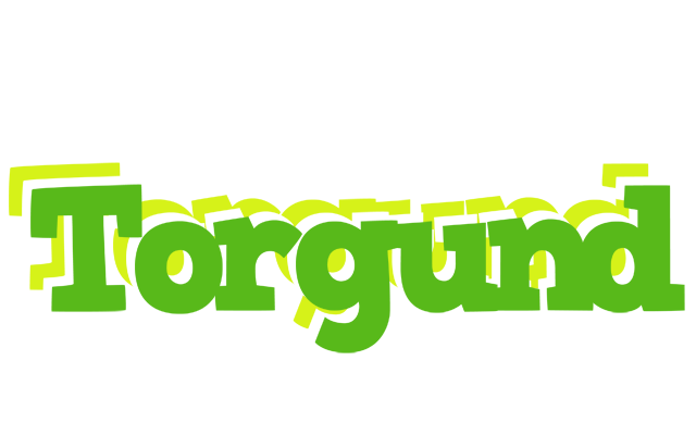 Torgund picnic logo