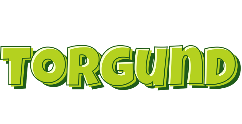 Torgund summer logo