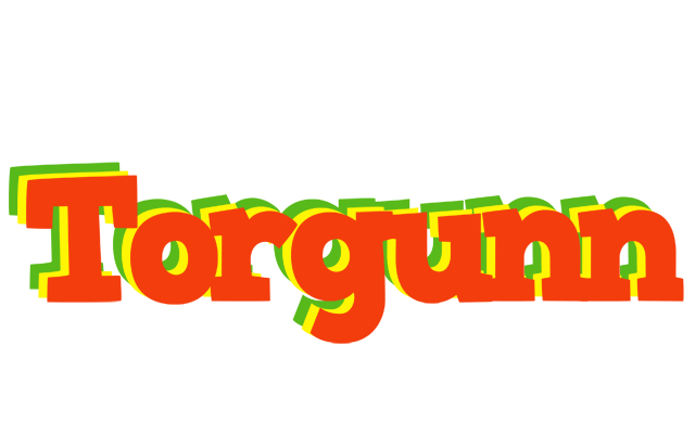 Torgunn bbq logo