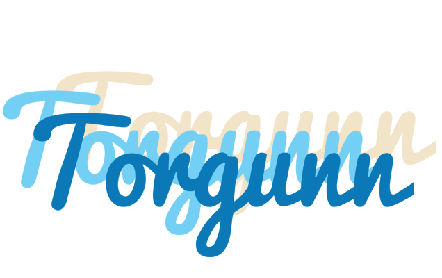 Torgunn breeze logo
