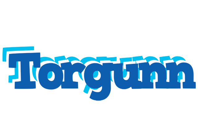 Torgunn business logo