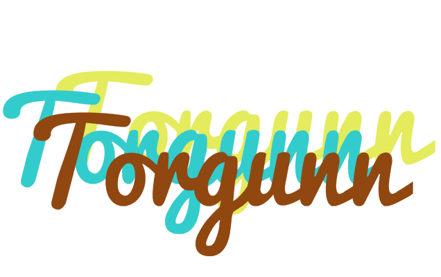Torgunn cupcake logo